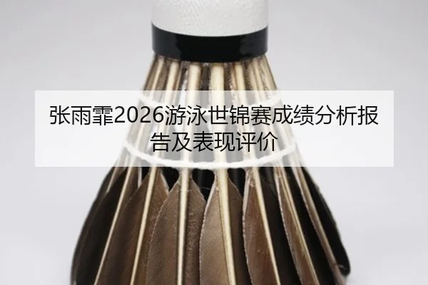 zhang-yu-fei-you-yong-shi-jin-sai-cheng-ji-fen-xi-bao-gao-ji-biao-xian-ping-jia-2-506.jpg