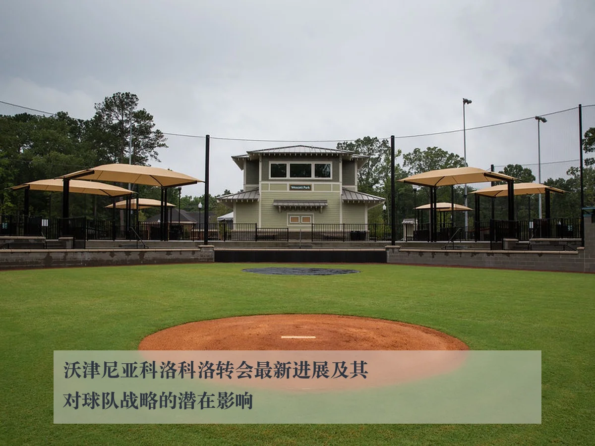 沃津尼亚科洛科洛转会最新进展及其对球队战略的潜在影响